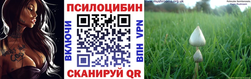 Галлюциногенные грибы мухоморы  блэк спрут маркетплейс  Прокопьевск 
